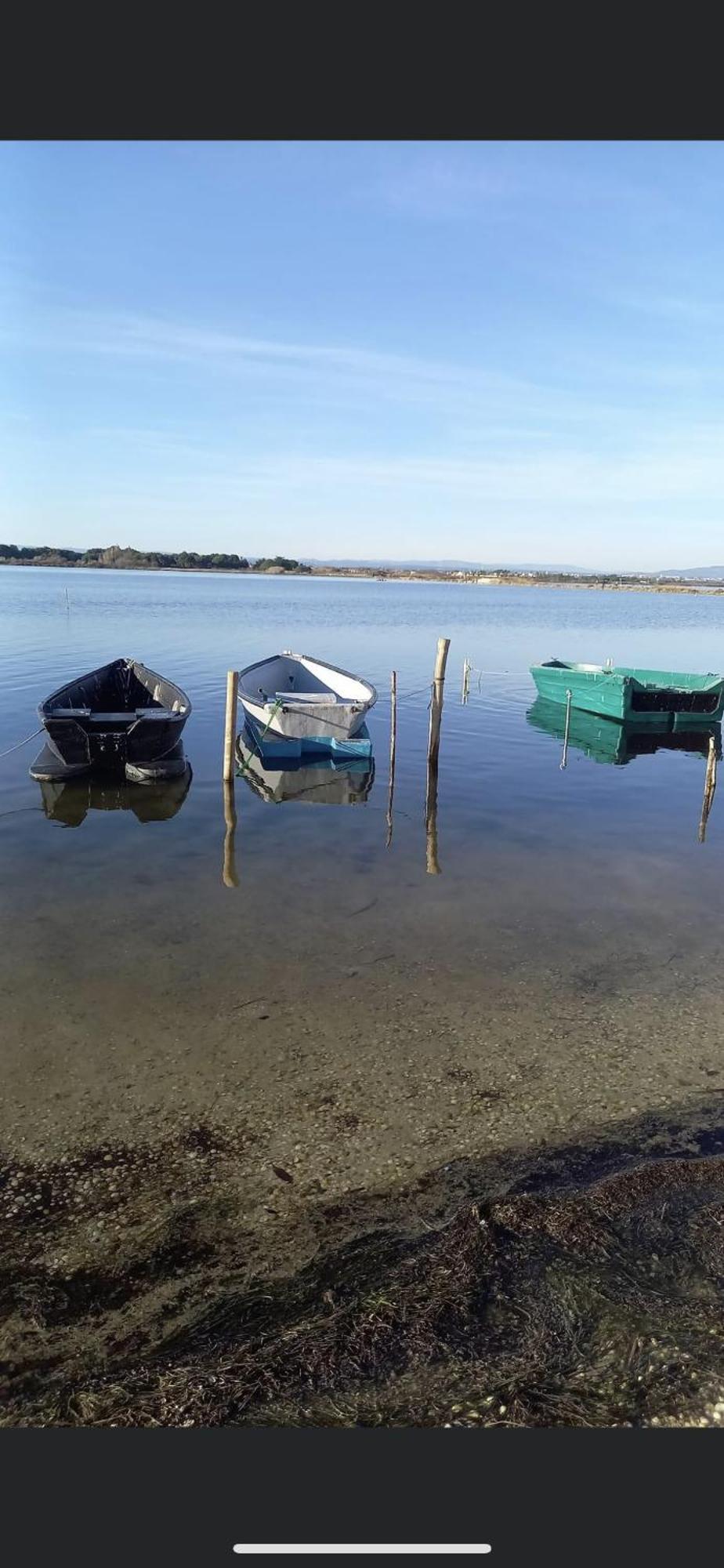 Studio Climatise Proche De Montpellier Et Des Plages Villeneuve-les-Maguelonne Bagian luar foto